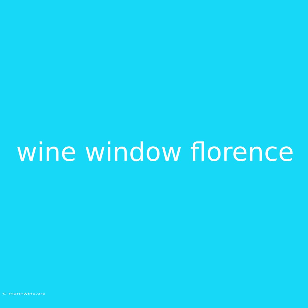 Wine Window Florence