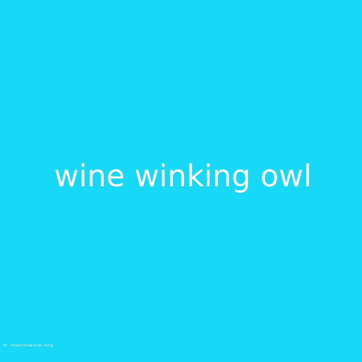 Wine Winking Owl