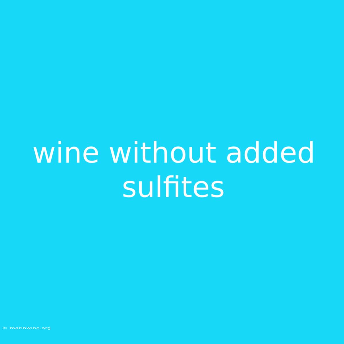 Wine Without Added Sulfites