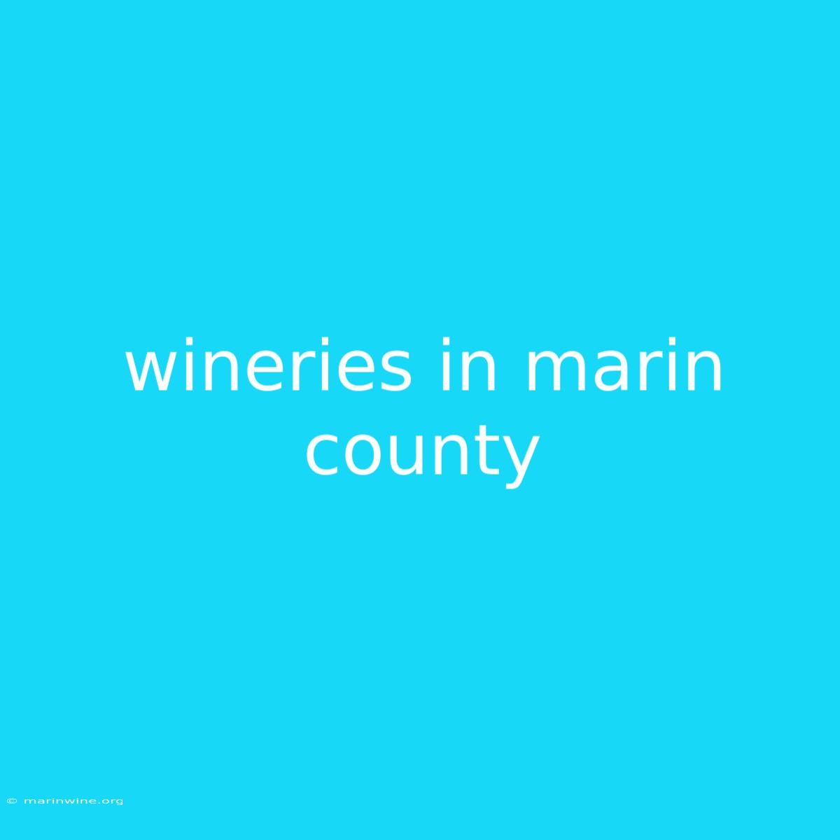 Wineries In Marin County