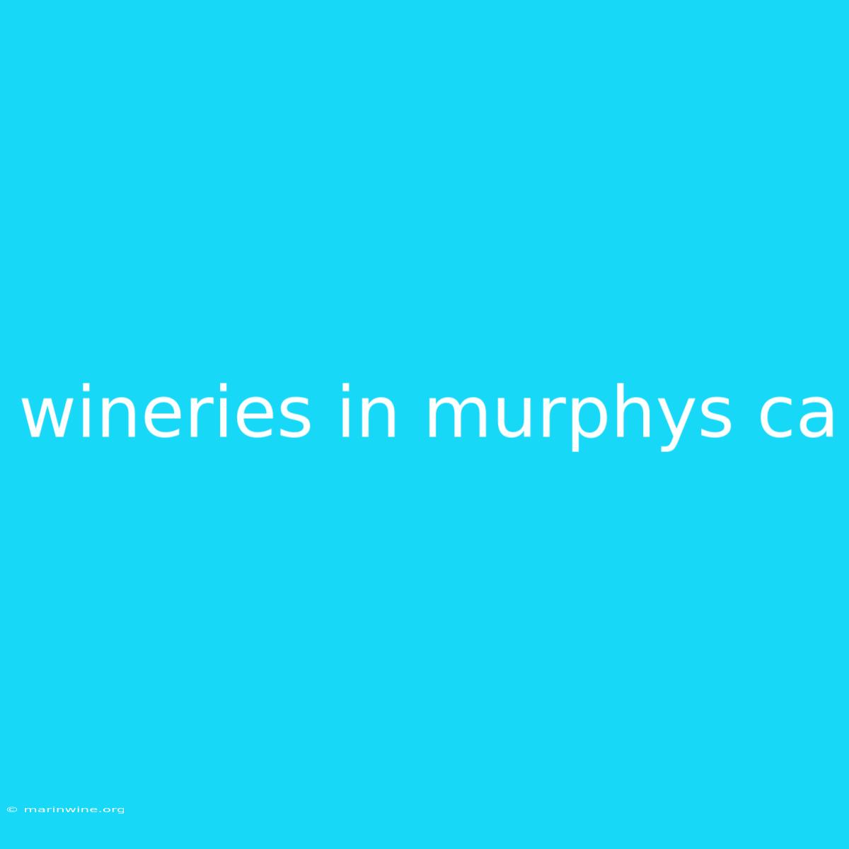 Wineries In Murphys Ca