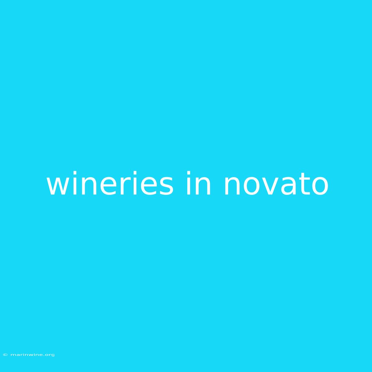 Wineries In Novato