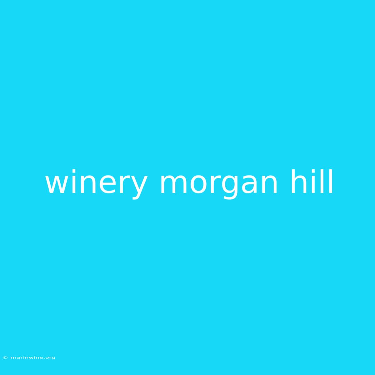 Winery Morgan Hill