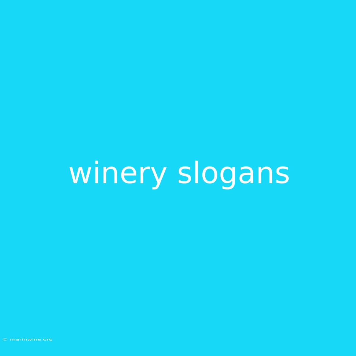 Winery Slogans