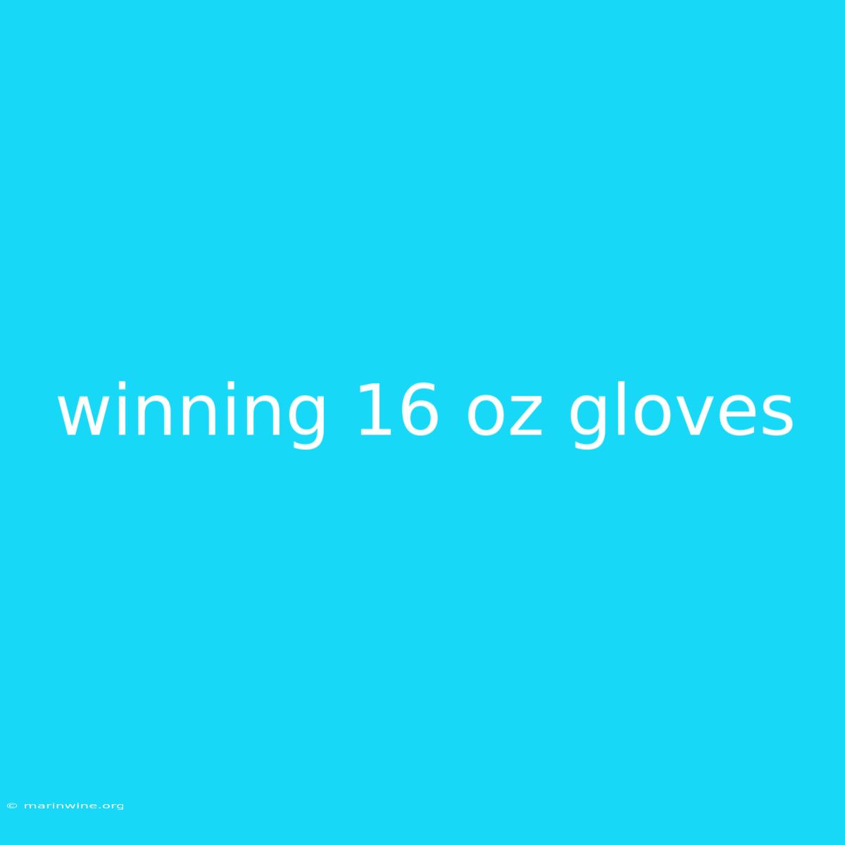 Winning 16 Oz Gloves