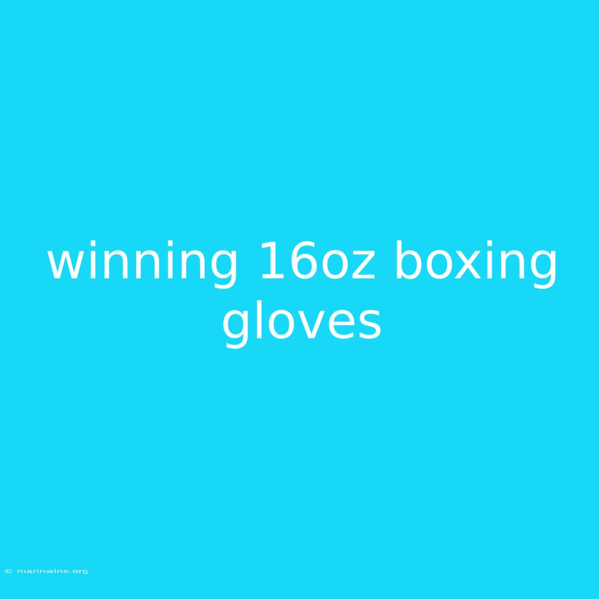 Winning 16oz Boxing Gloves