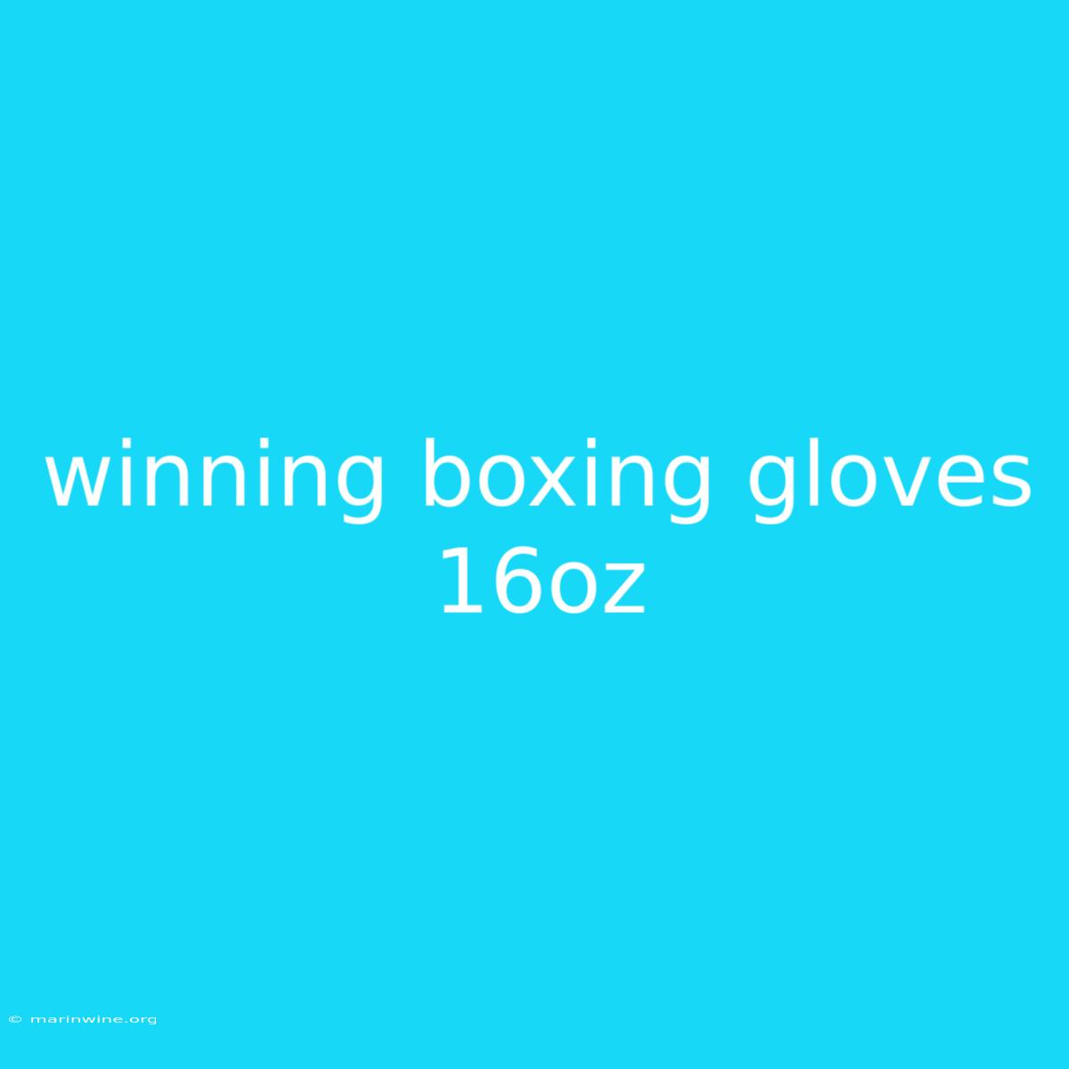 Winning Boxing Gloves 16oz