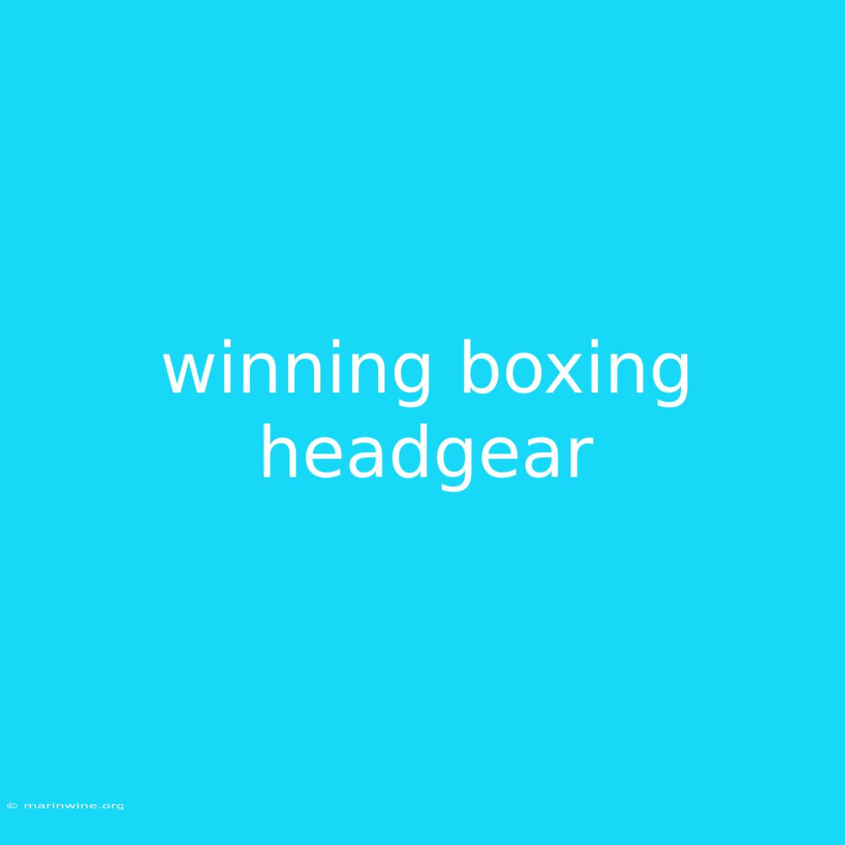 Winning Boxing Headgear