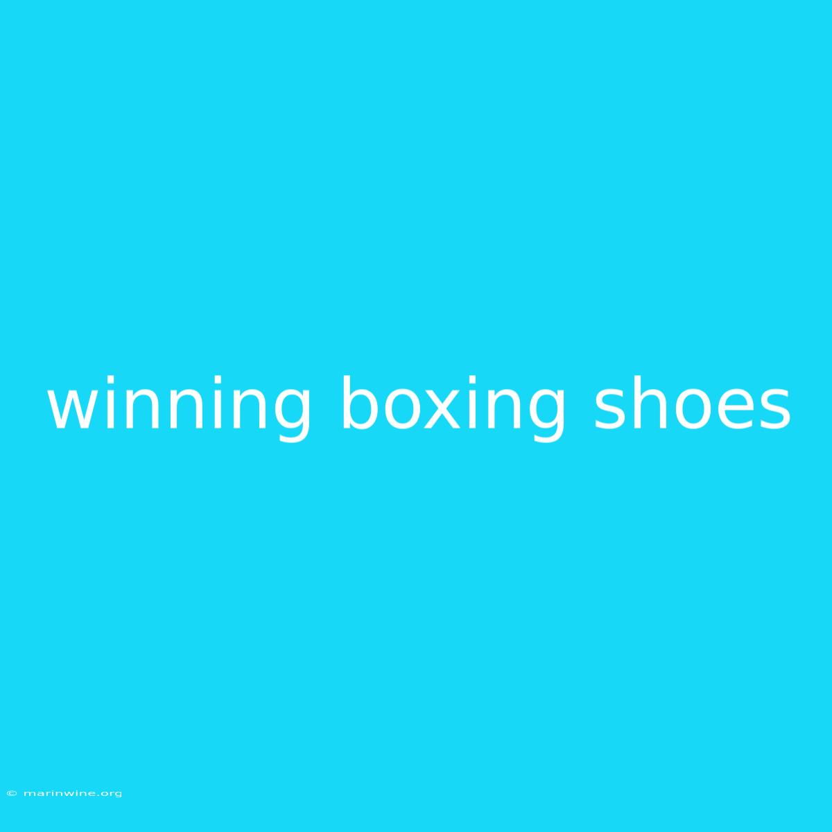 Winning Boxing Shoes