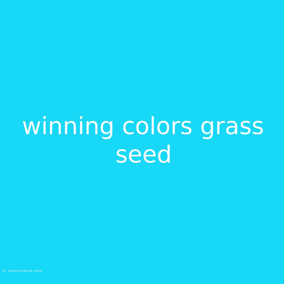 Winning Colors Grass Seed