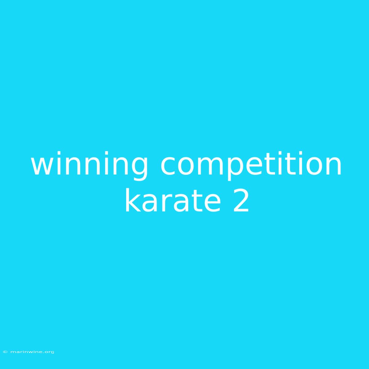 Winning Competition Karate 2