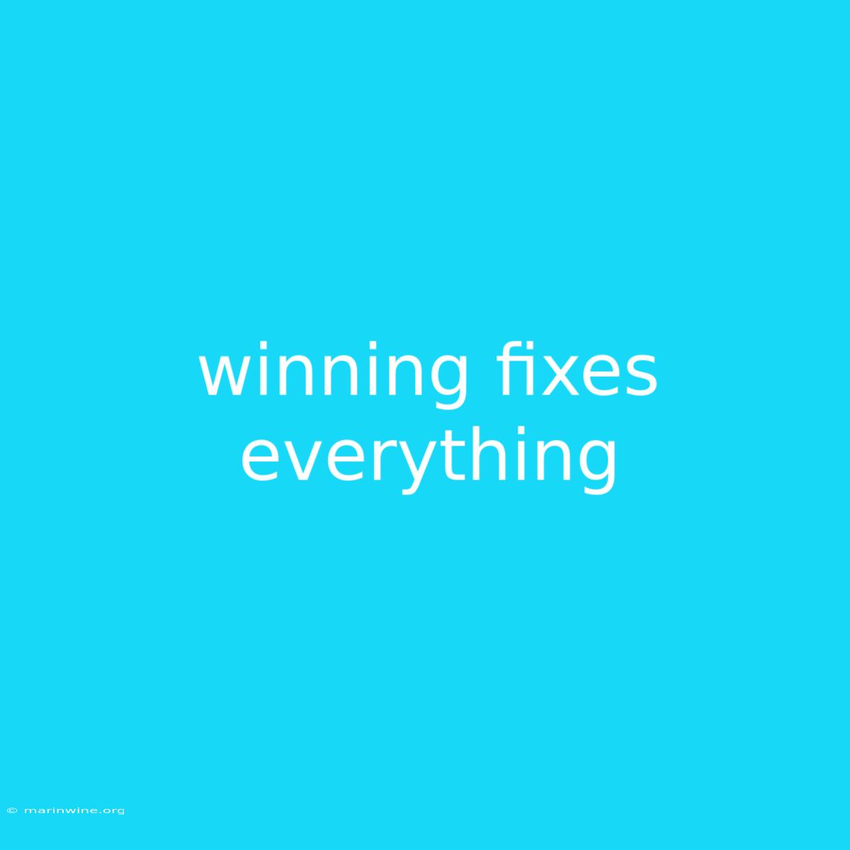 Winning Fixes Everything