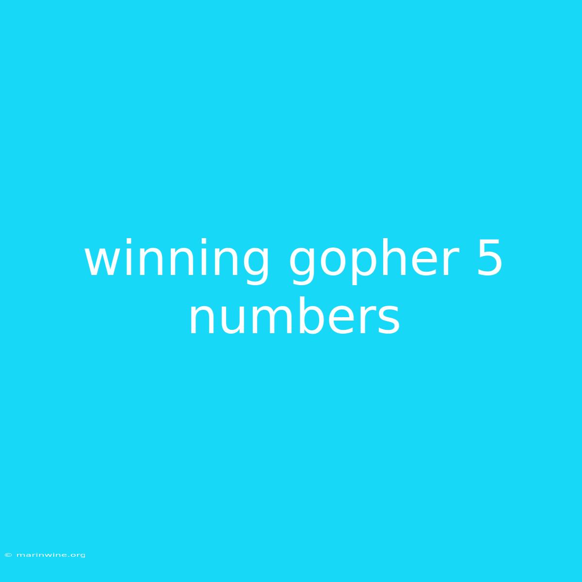 Winning Gopher 5 Numbers