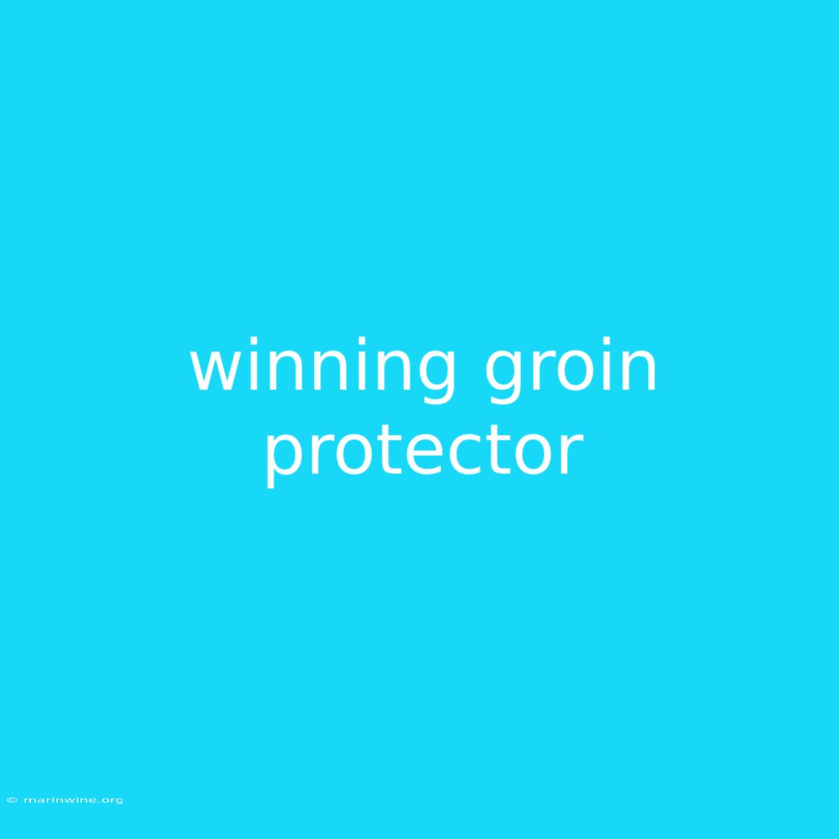 Winning Groin Protector