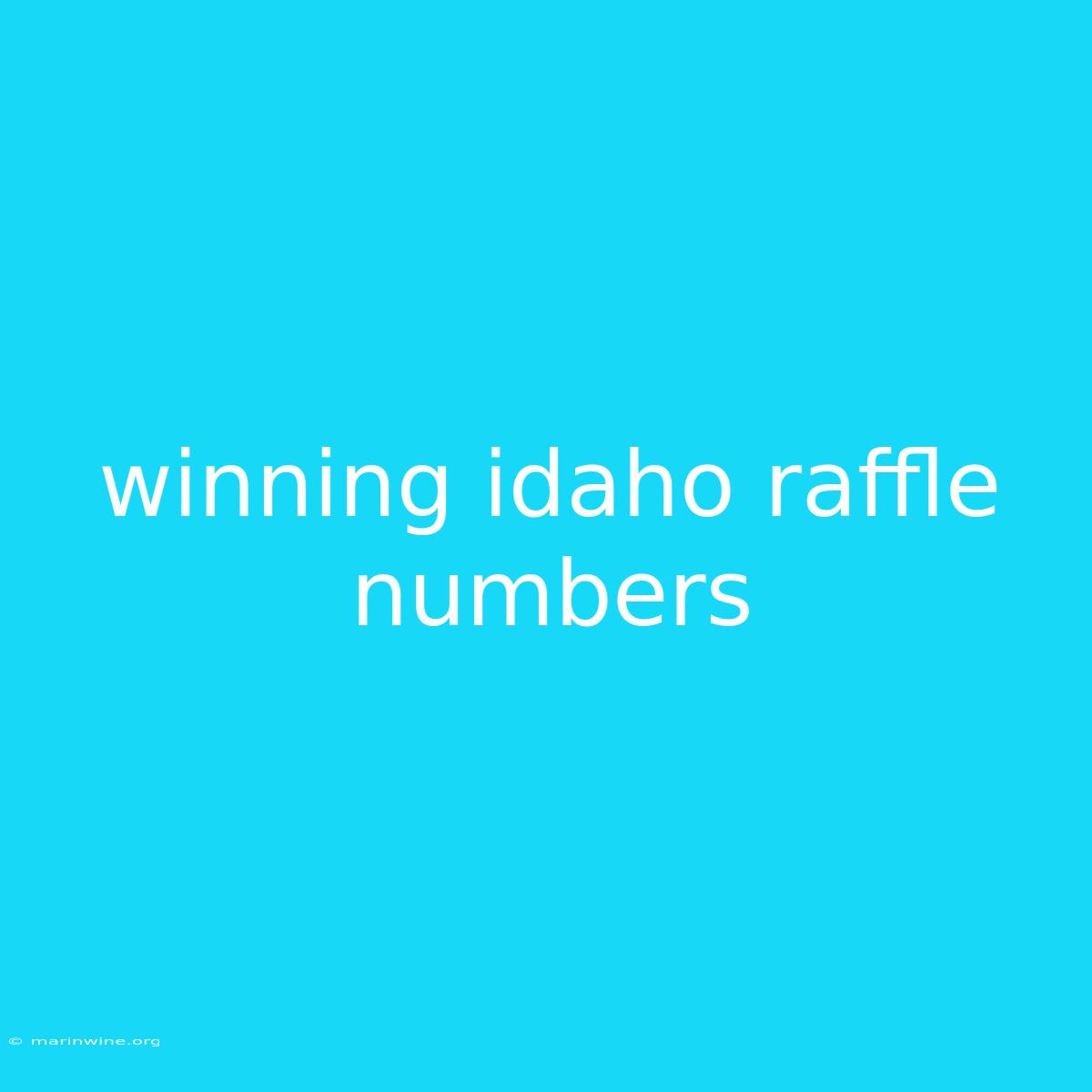 Winning Idaho Raffle Numbers