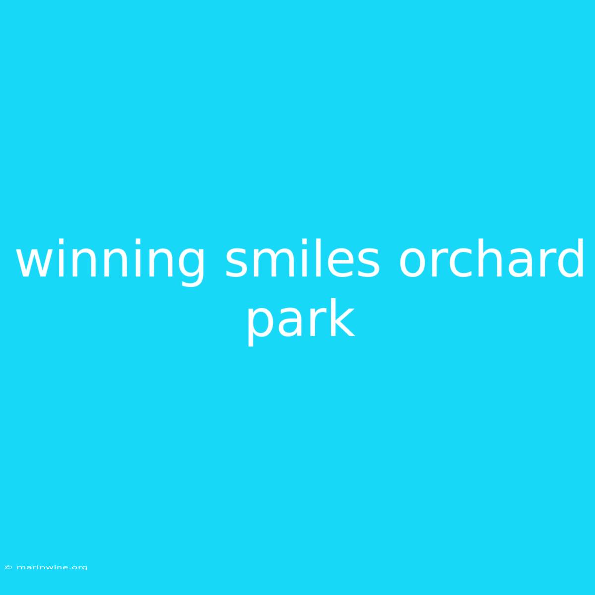 Winning Smiles Orchard Park