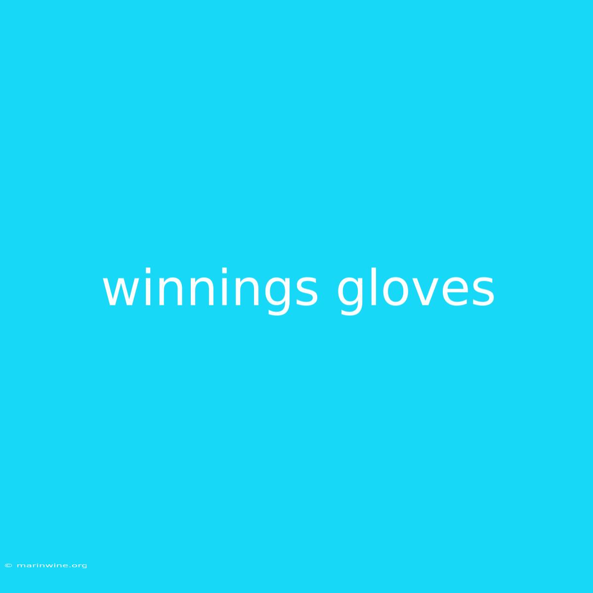 Winnings Gloves