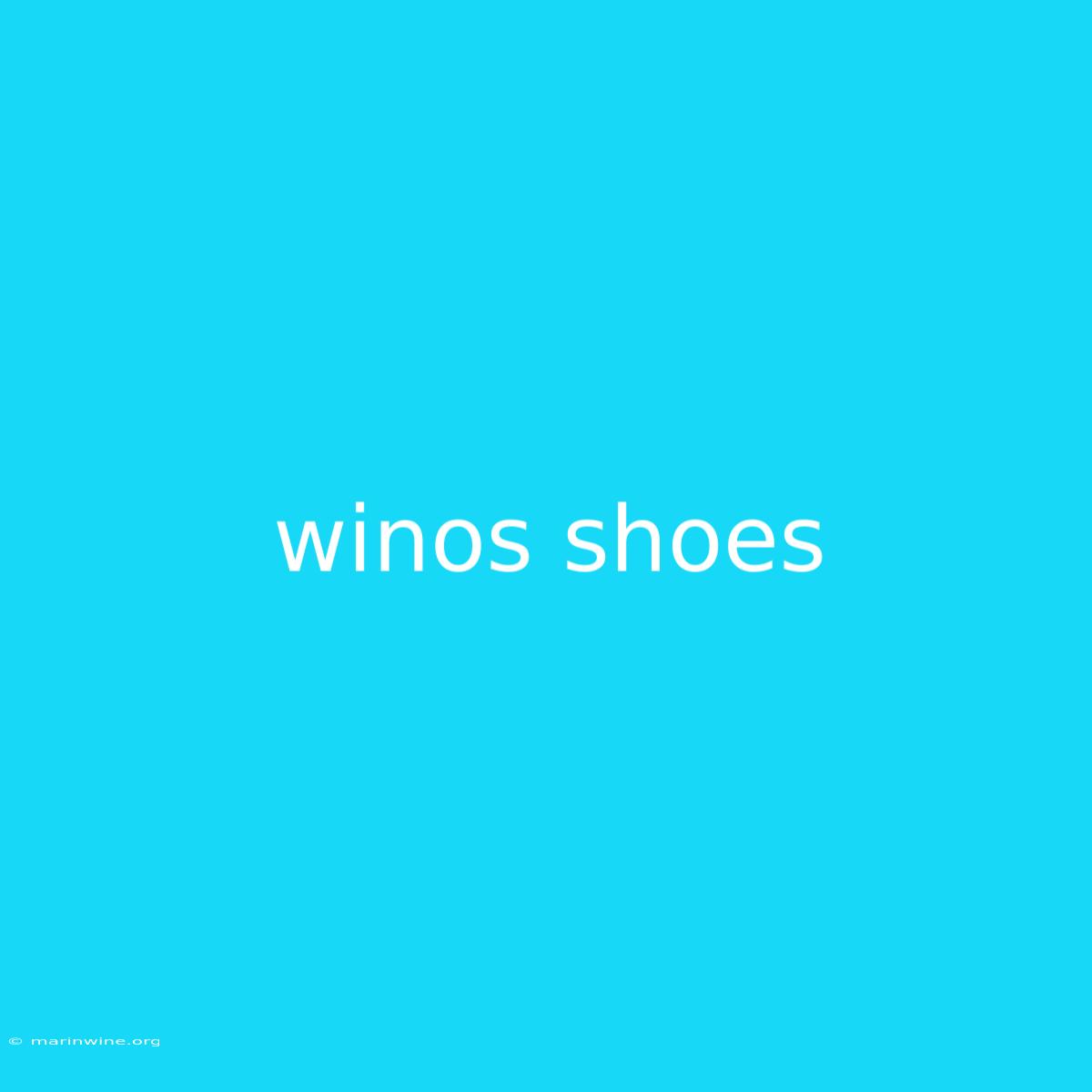 Winos Shoes