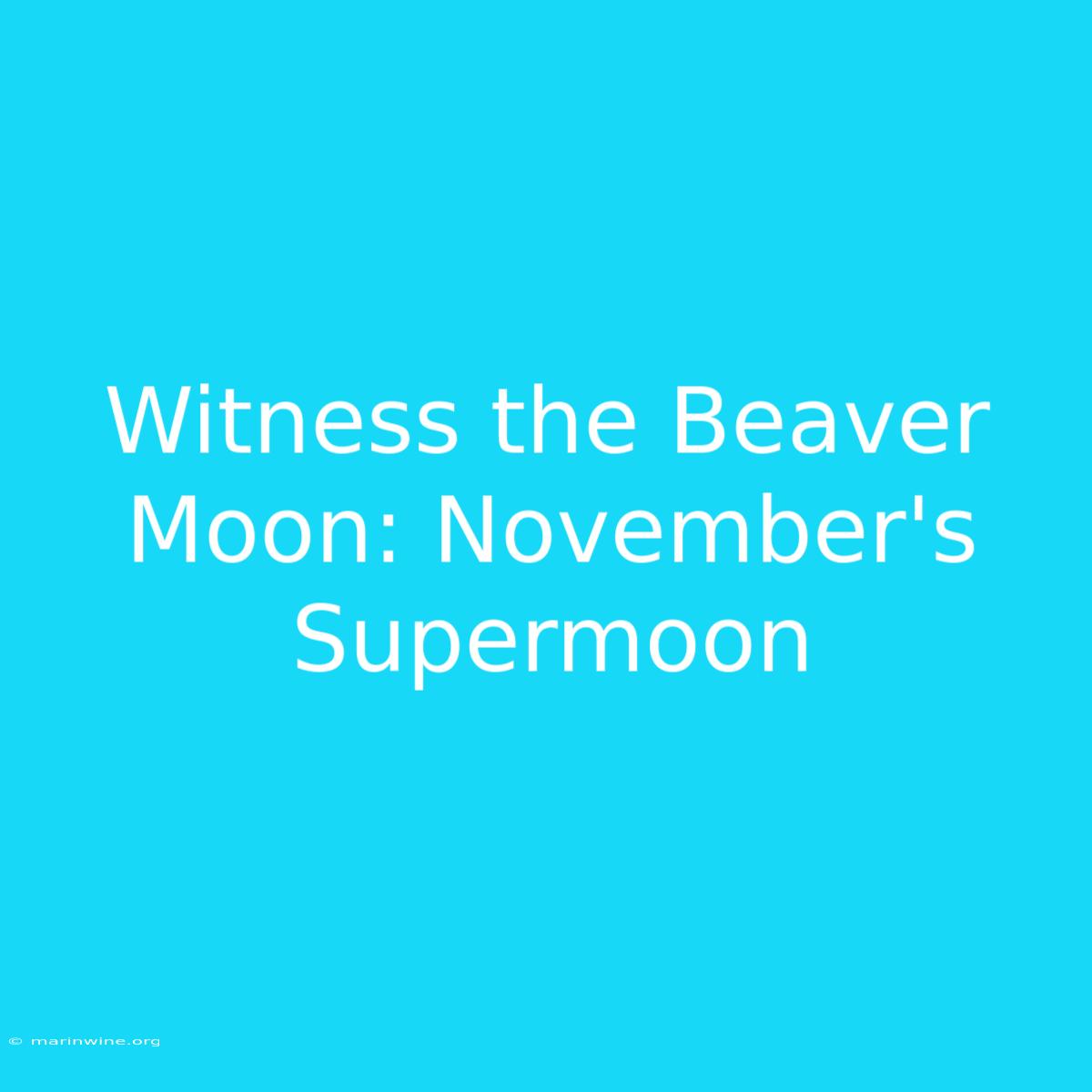 Witness The Beaver Moon: November's Supermoon