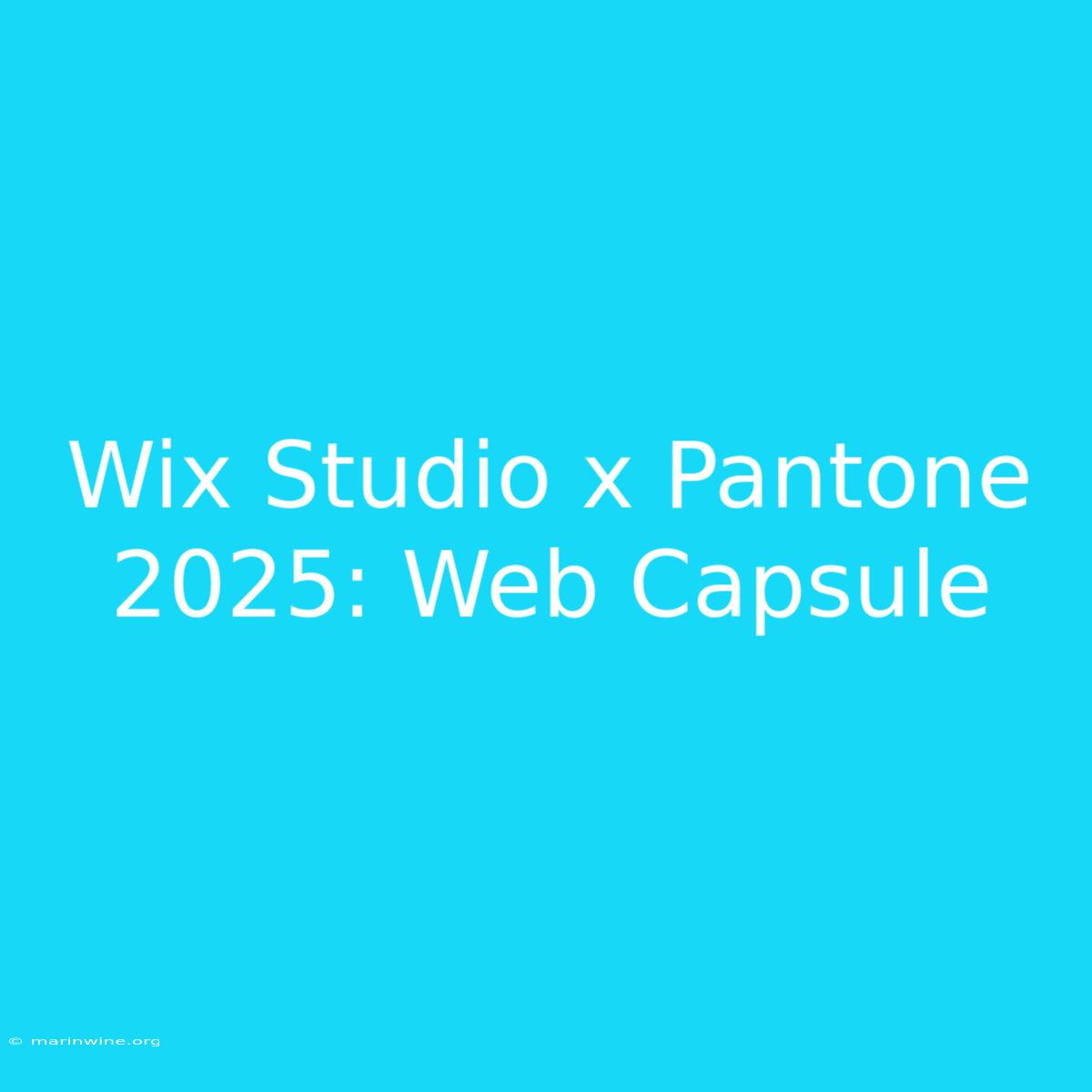 Wix Studio X Pantone 2025: Web Capsule