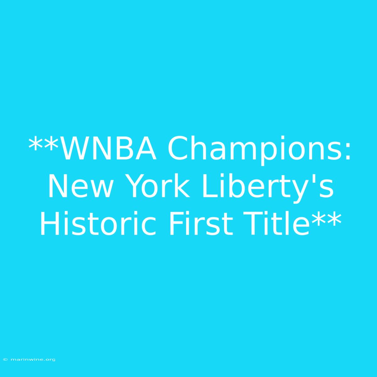 **WNBA Champions: New York Liberty's Historic First Title** 