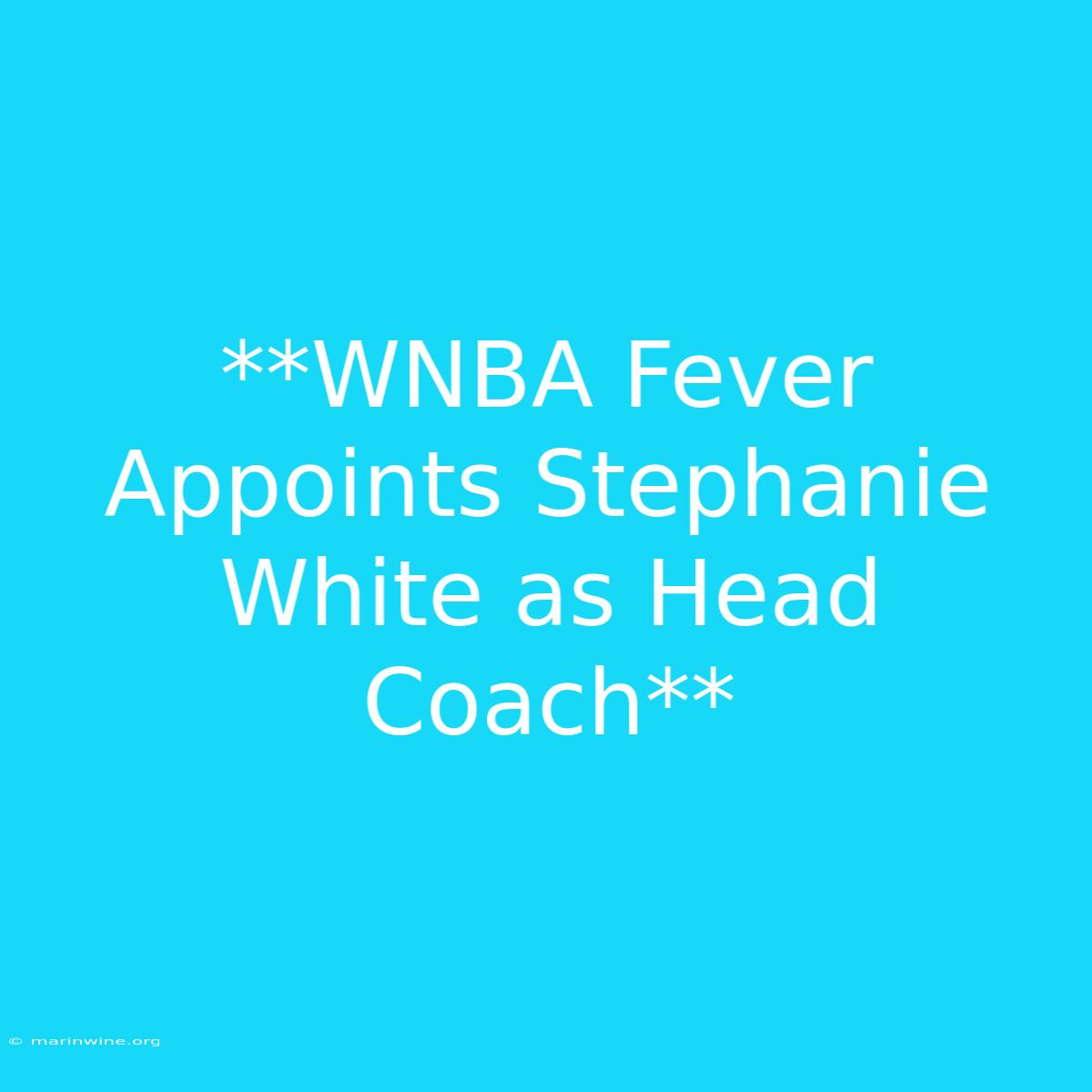 **WNBA Fever Appoints Stephanie White As Head Coach**