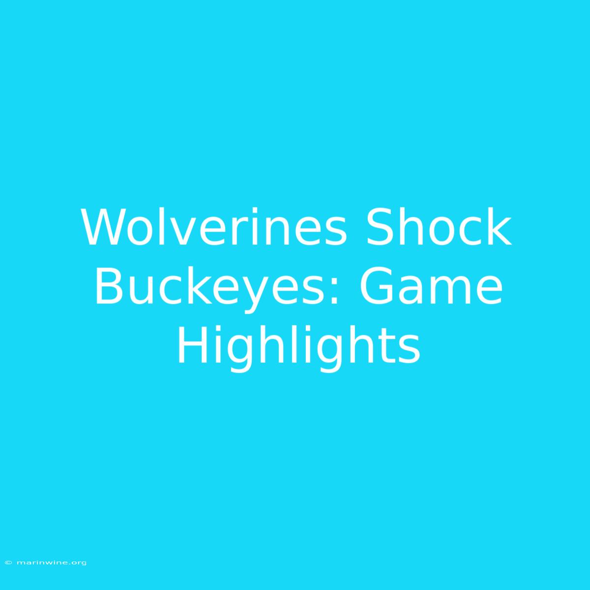 Wolverines Shock Buckeyes: Game Highlights