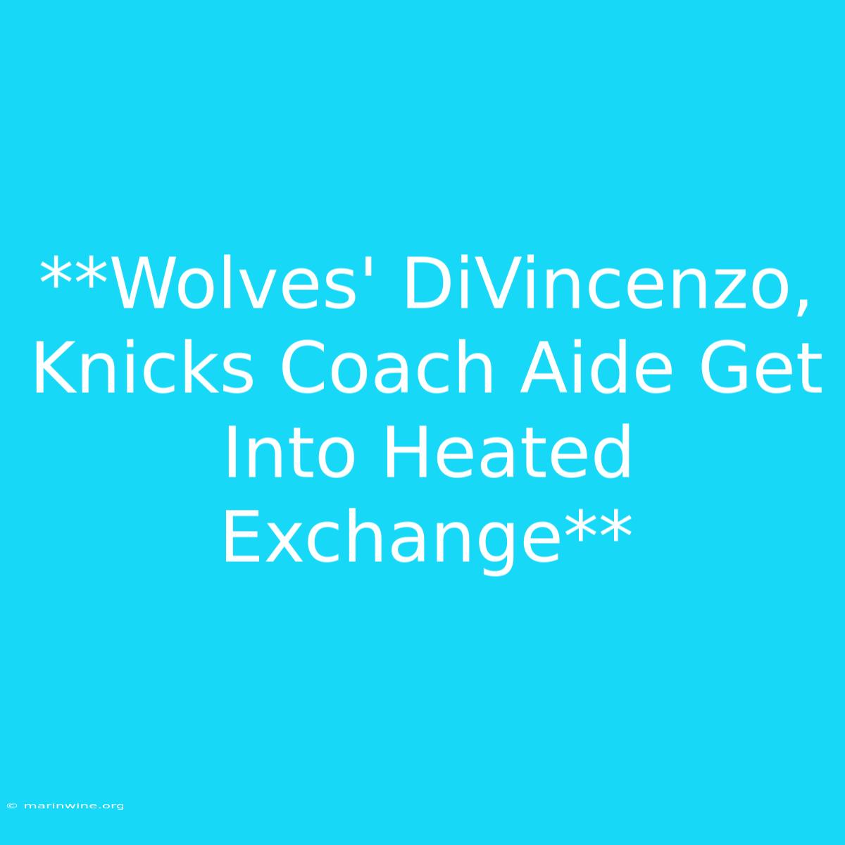 **Wolves' DiVincenzo, Knicks Coach Aide Get Into Heated Exchange**