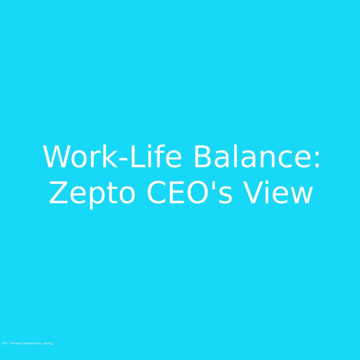 Work-Life Balance: Zepto CEO's View