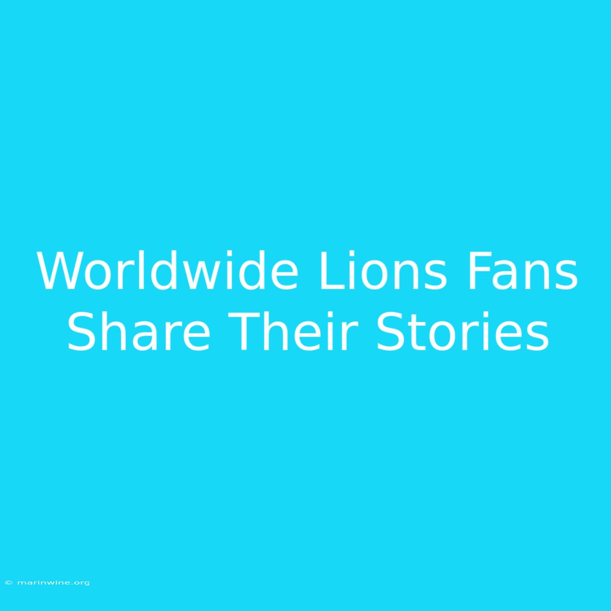 Worldwide Lions Fans Share Their Stories