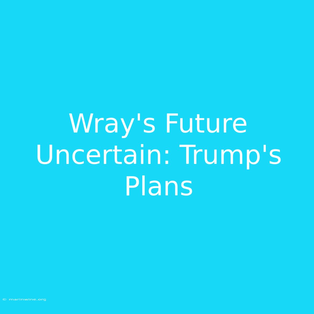 Wray's Future Uncertain: Trump's Plans