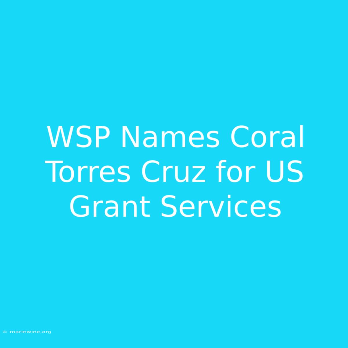 WSP Names Coral Torres Cruz For US Grant Services