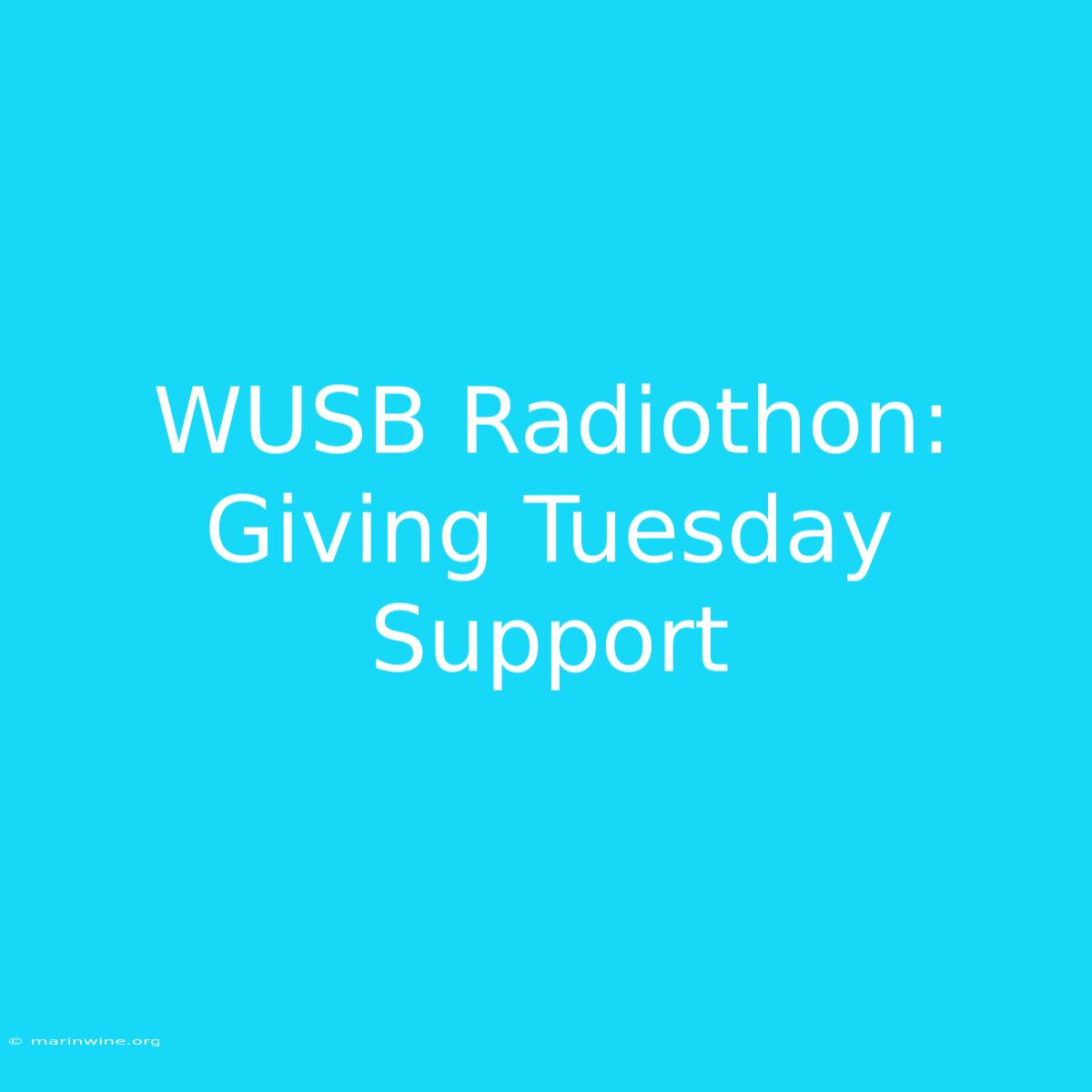 WUSB Radiothon: Giving Tuesday Support