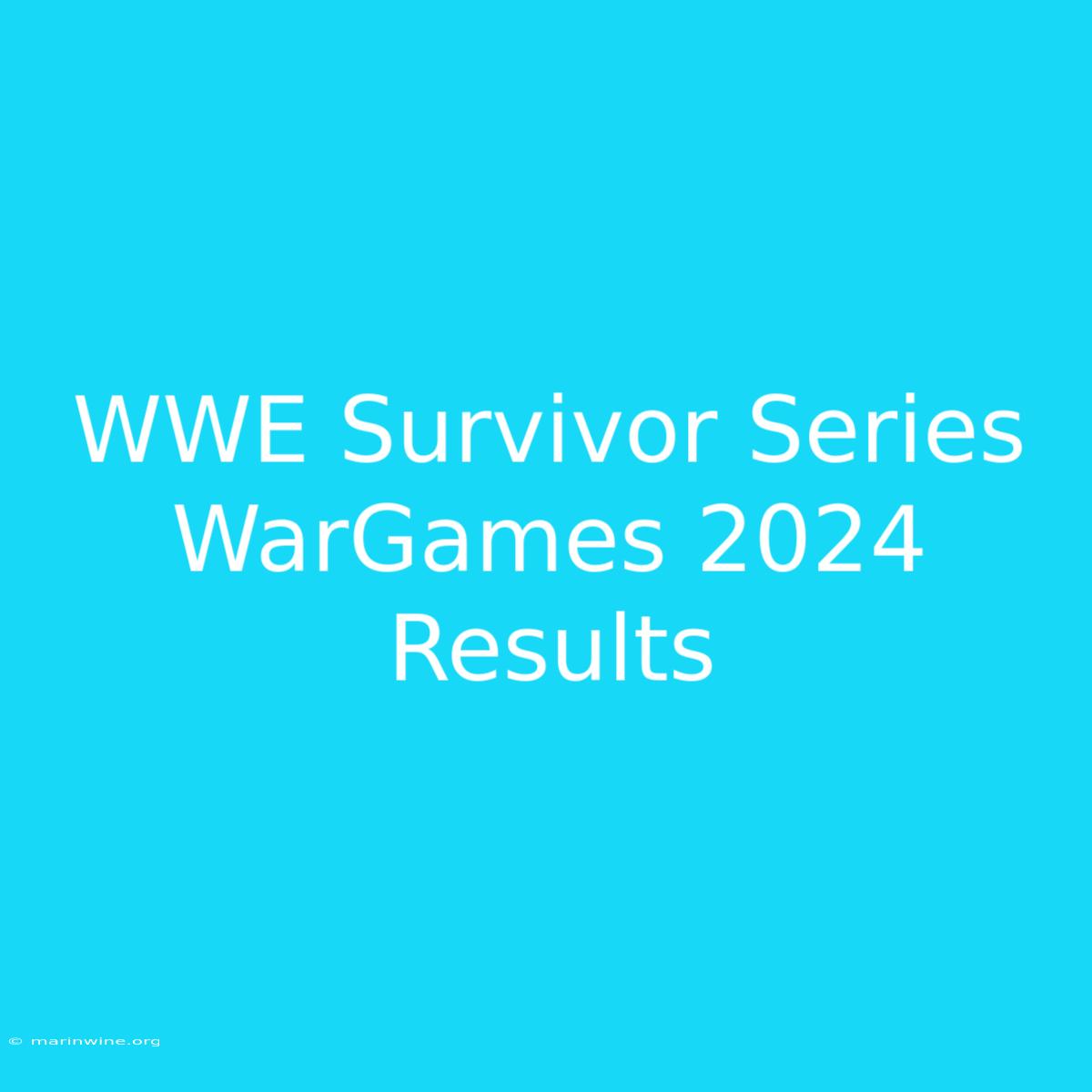 WWE Survivor Series WarGames 2024 Results