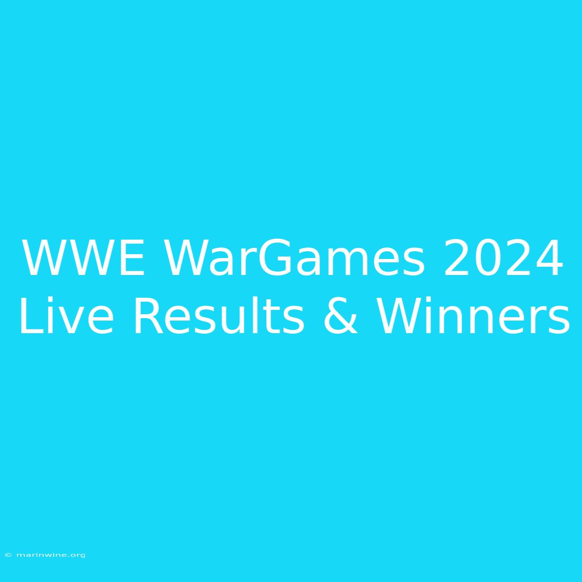 WWE WarGames 2024 Live Results & Winners