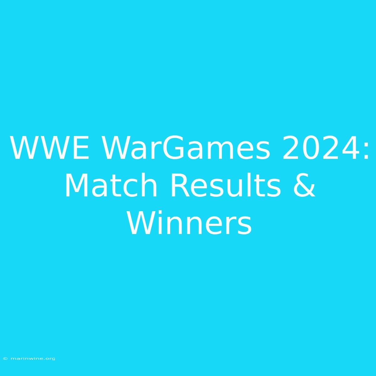 WWE WarGames 2024: Match Results & Winners