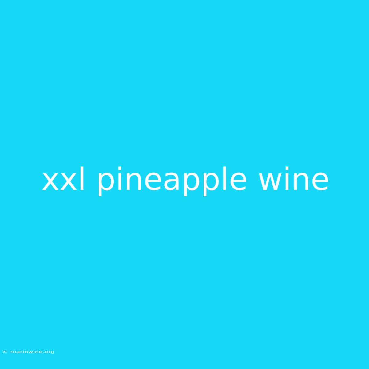 Xxl Pineapple Wine