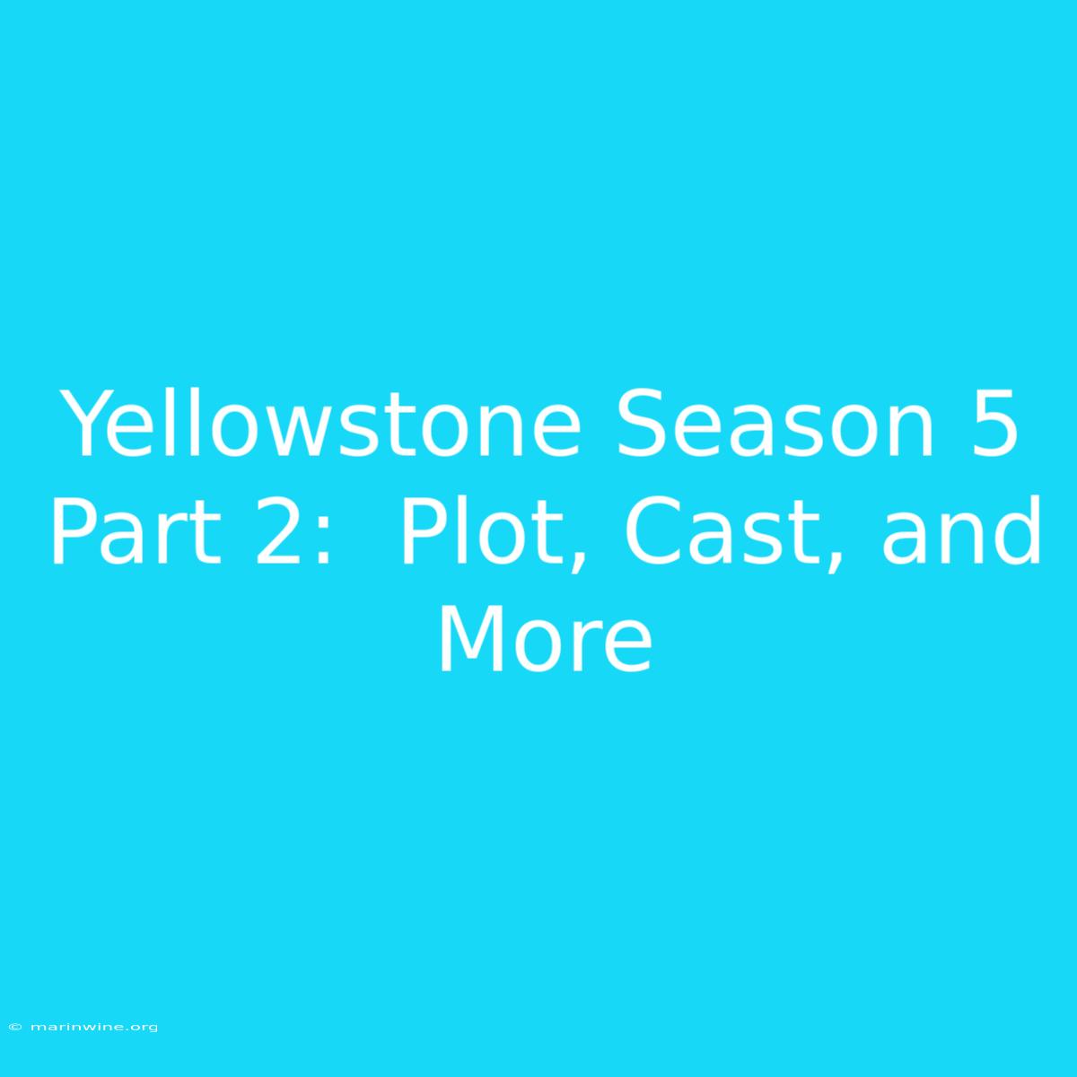 Yellowstone Season 5 Part 2:  Plot, Cast, And More