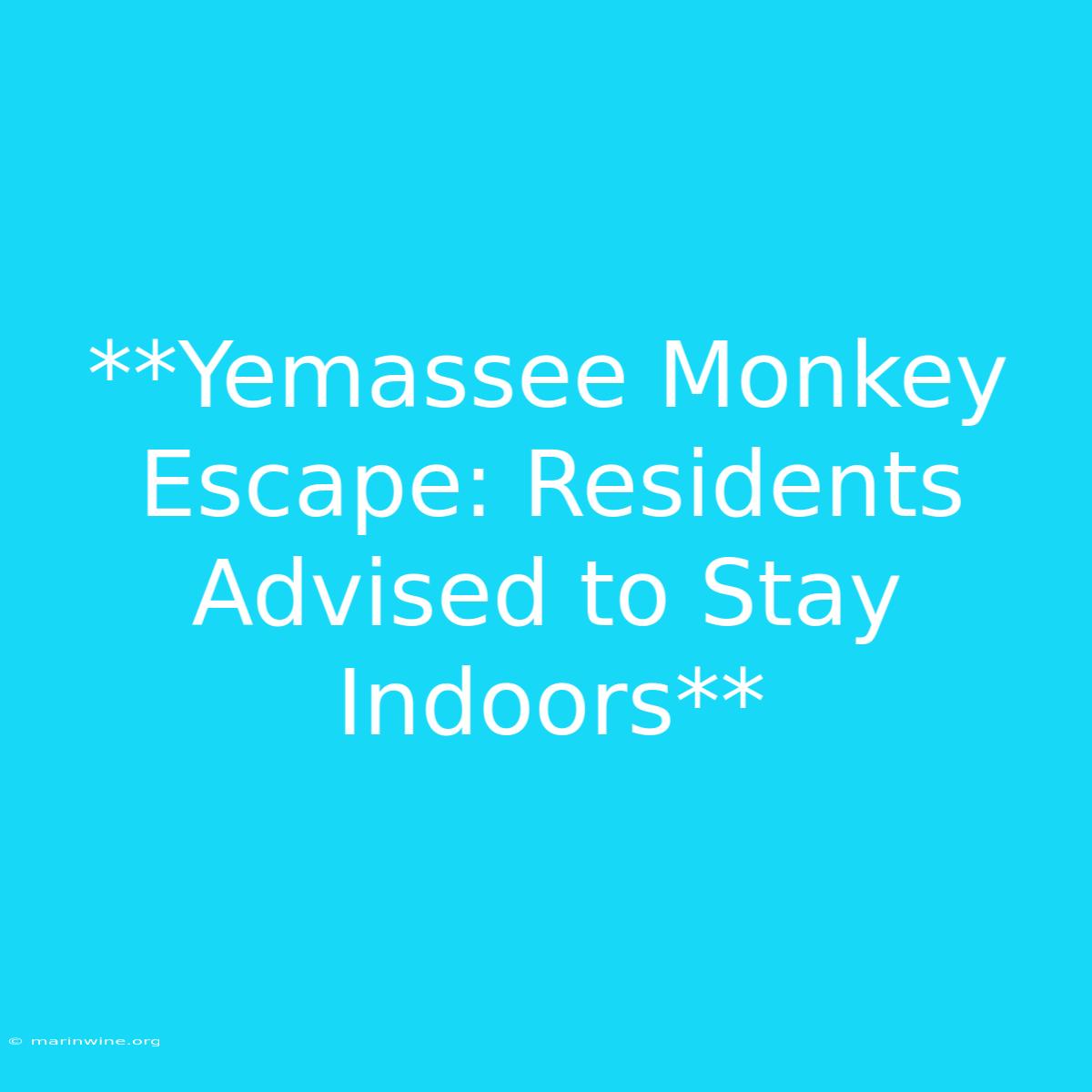 **Yemassee Monkey Escape: Residents Advised To Stay Indoors**