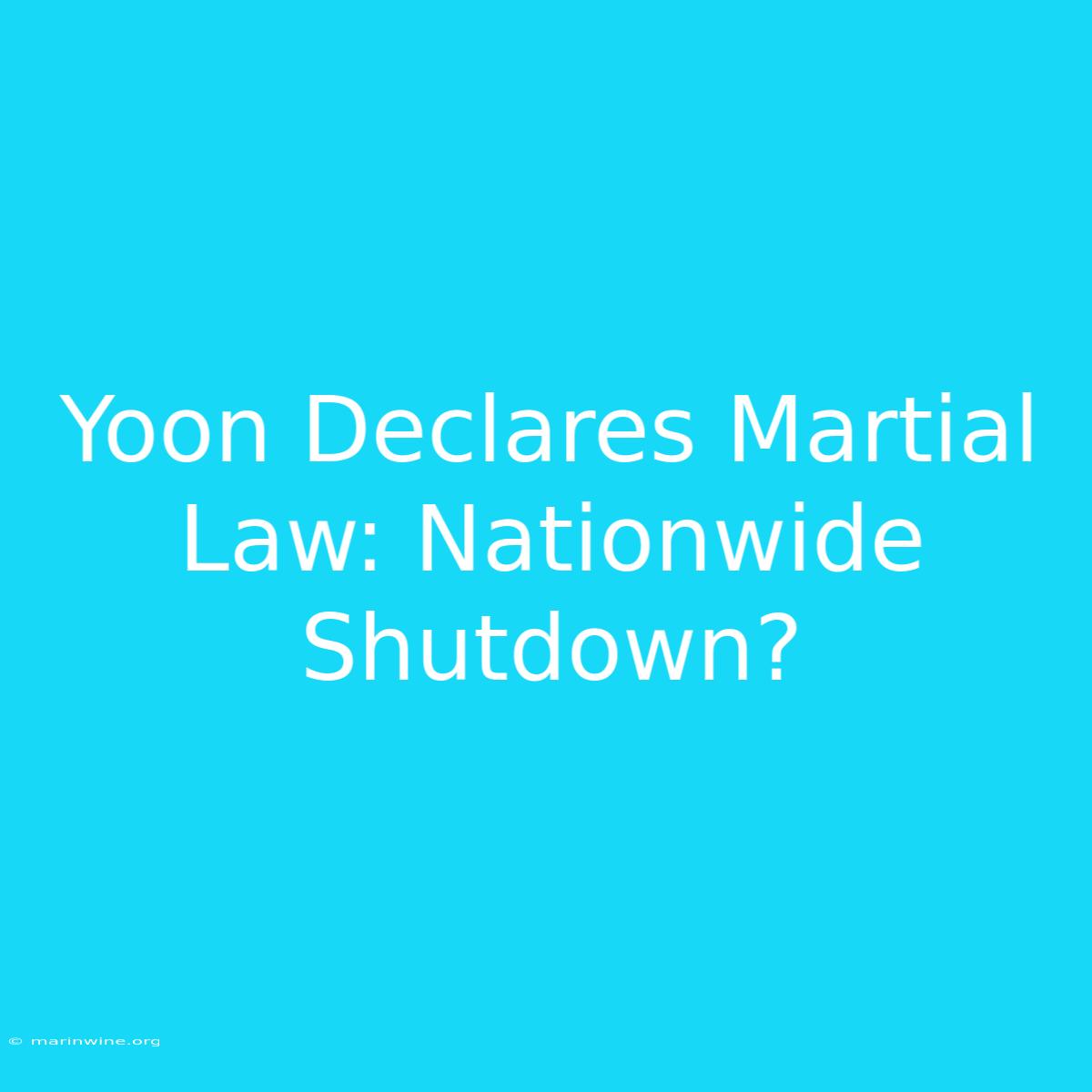 Yoon Declares Martial Law: Nationwide Shutdown?