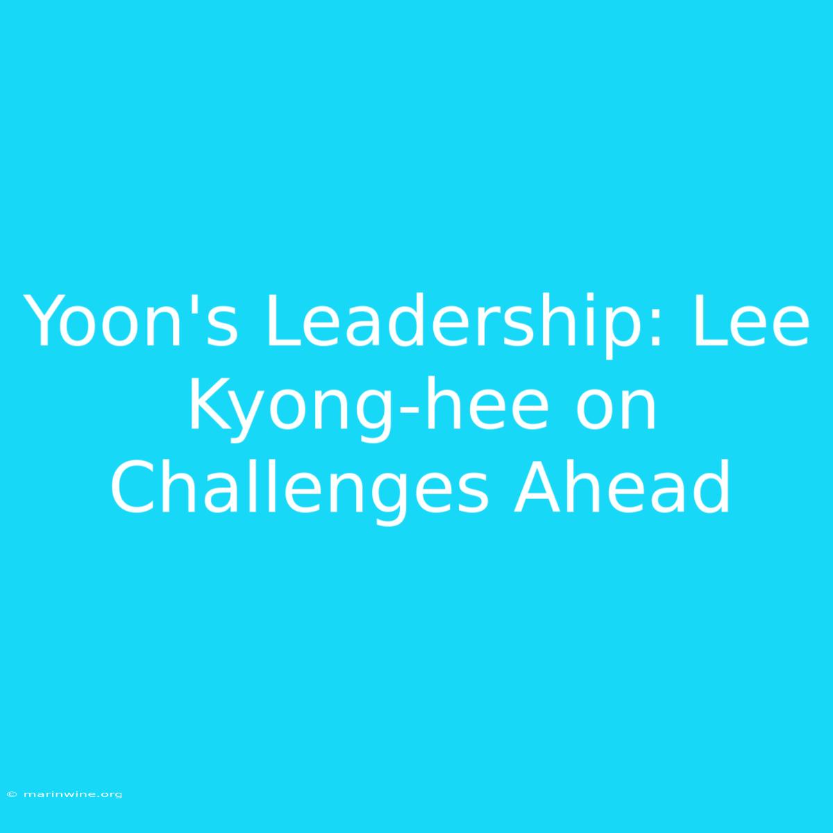 Yoon's Leadership: Lee Kyong-hee On Challenges Ahead