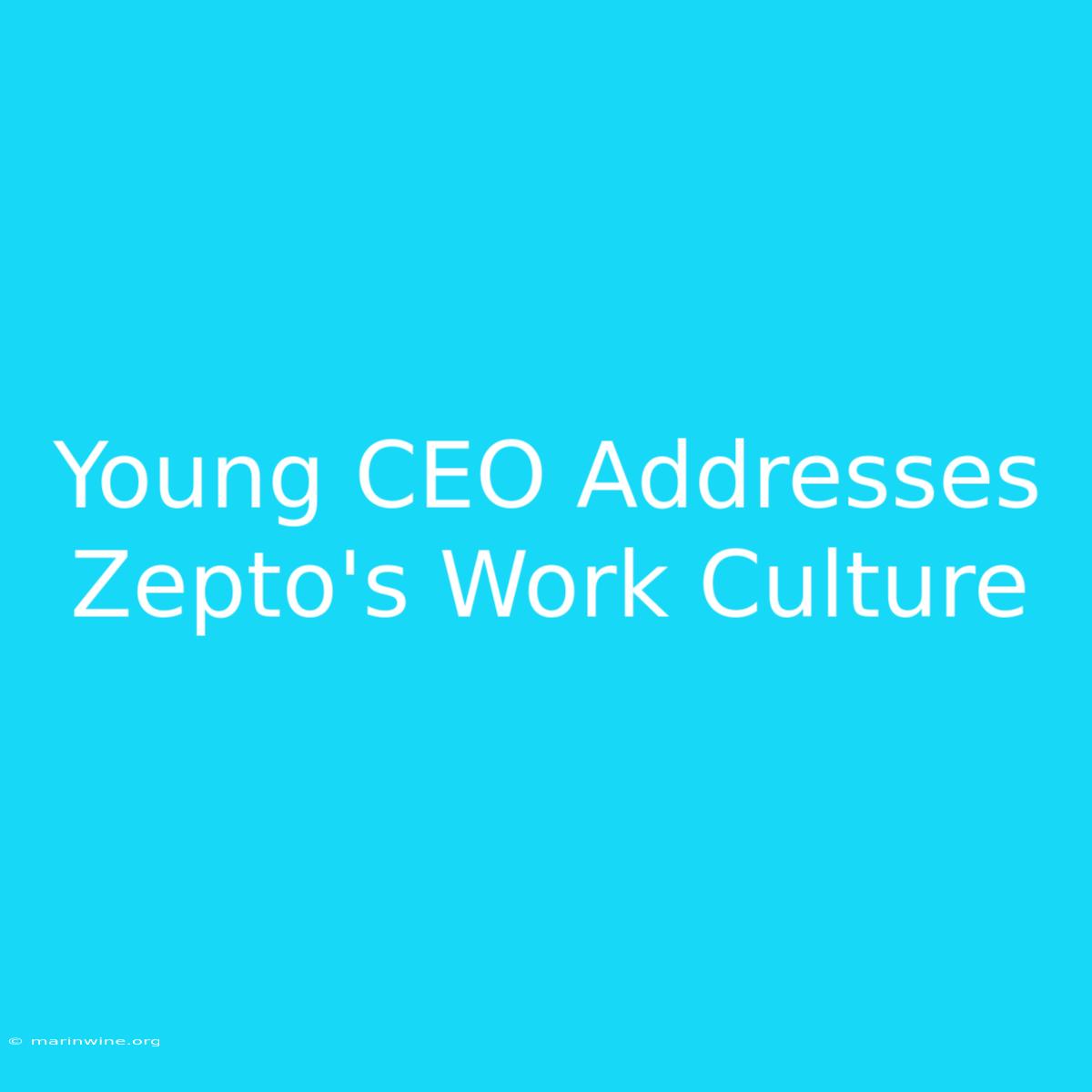 Young CEO Addresses Zepto's Work Culture