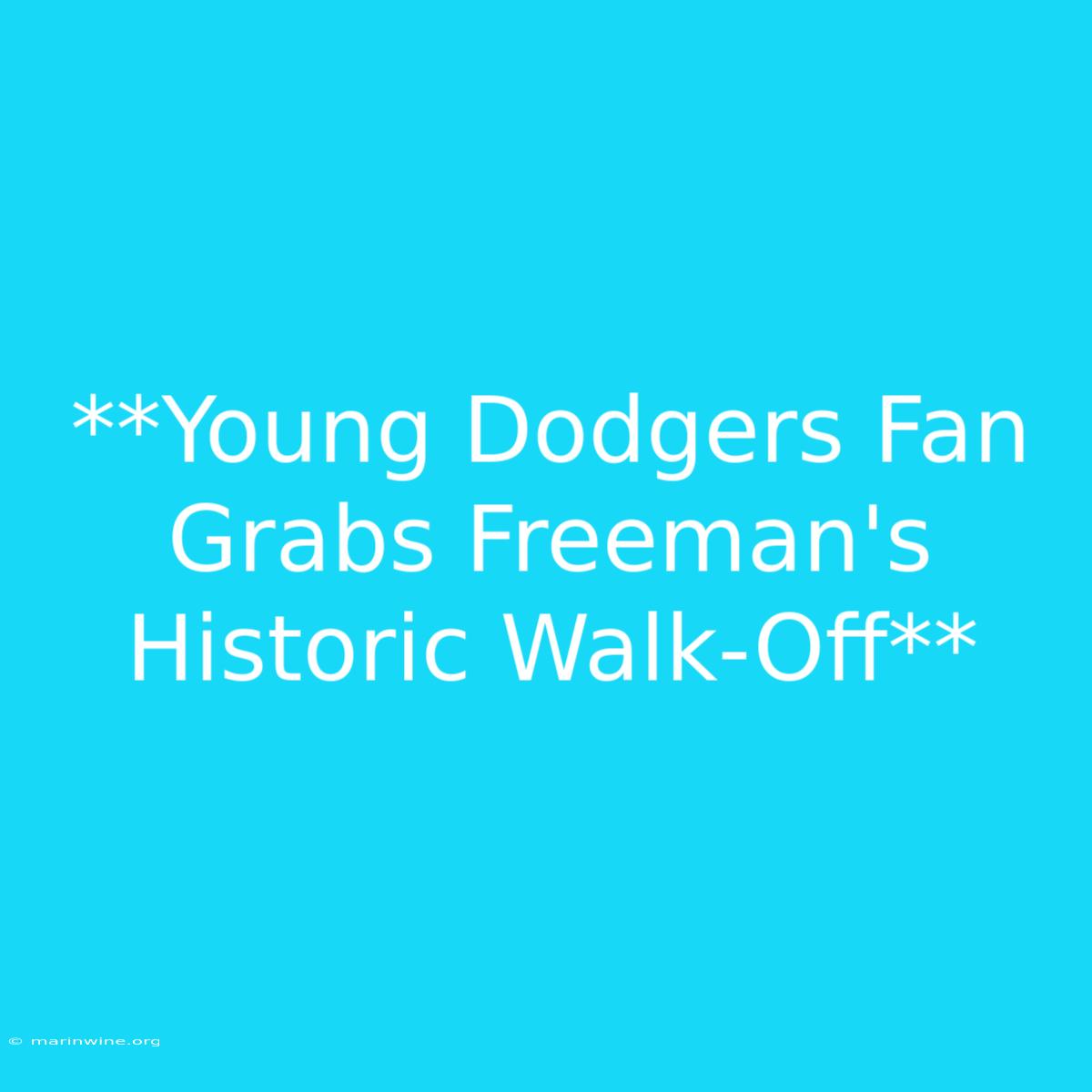 **Young Dodgers Fan Grabs Freeman's Historic Walk-Off** 