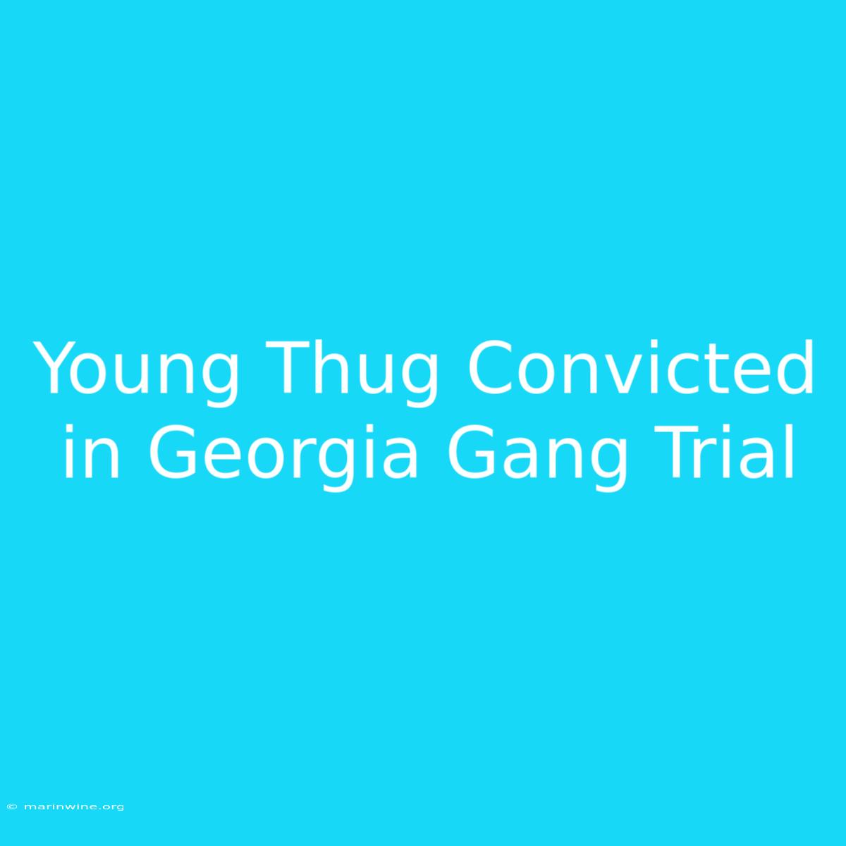 Young Thug Convicted In Georgia Gang Trial 