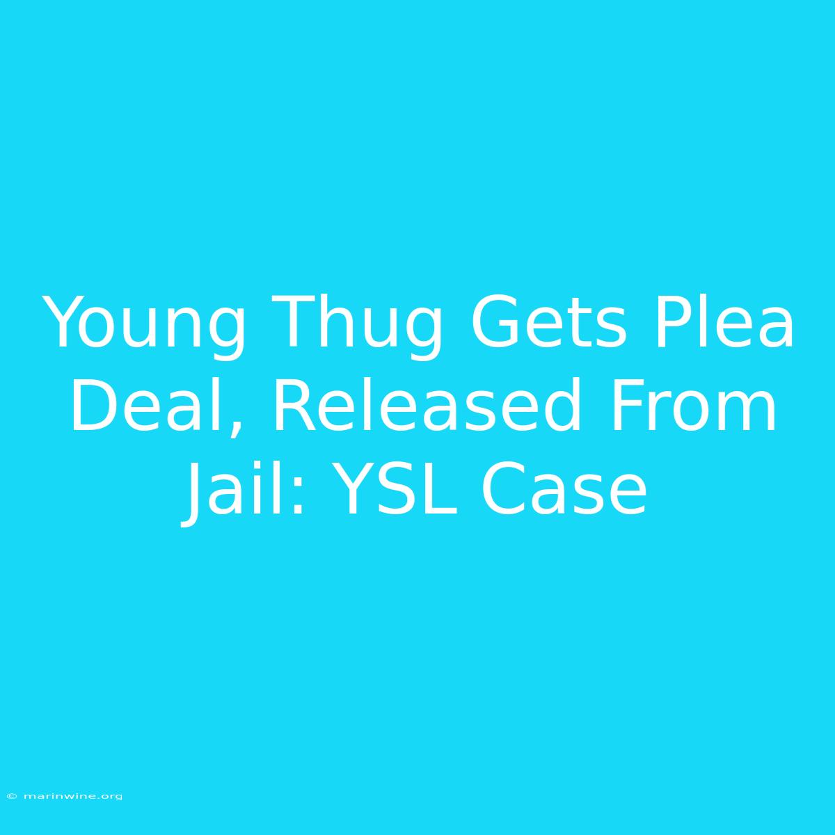 Young Thug Gets Plea Deal, Released From Jail: YSL Case