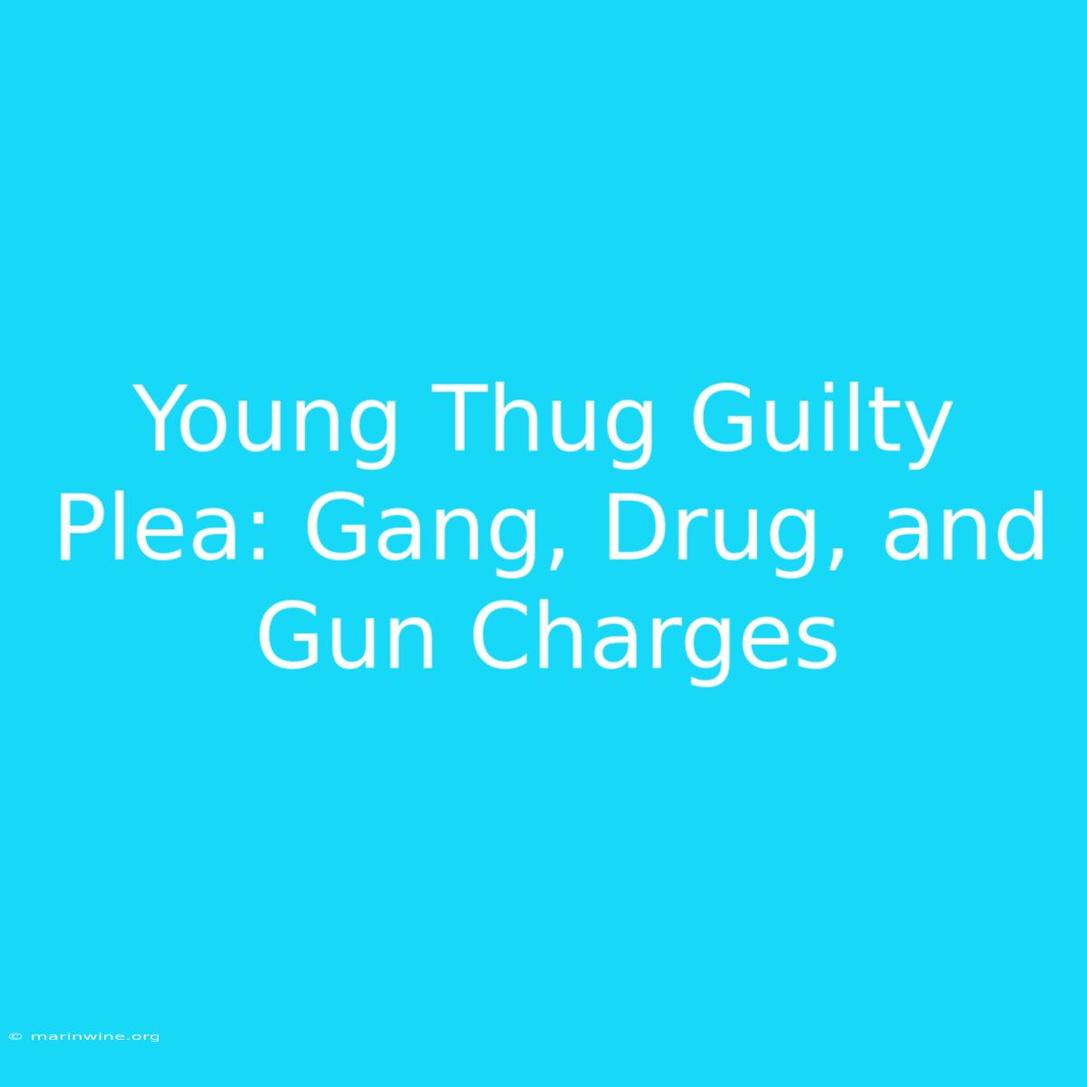 Young Thug Guilty Plea: Gang, Drug, And Gun Charges 