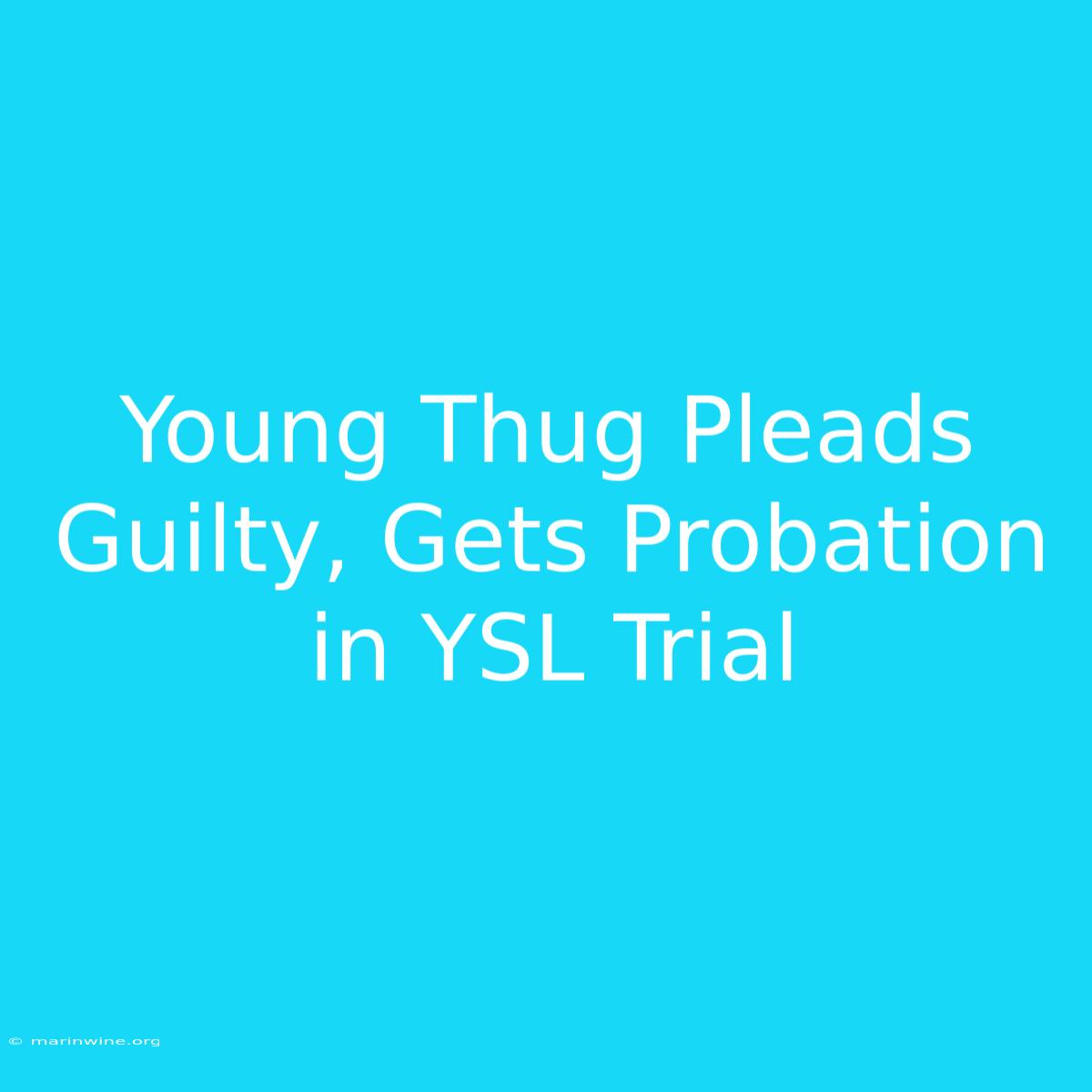 Young Thug Pleads Guilty, Gets Probation In YSL Trial