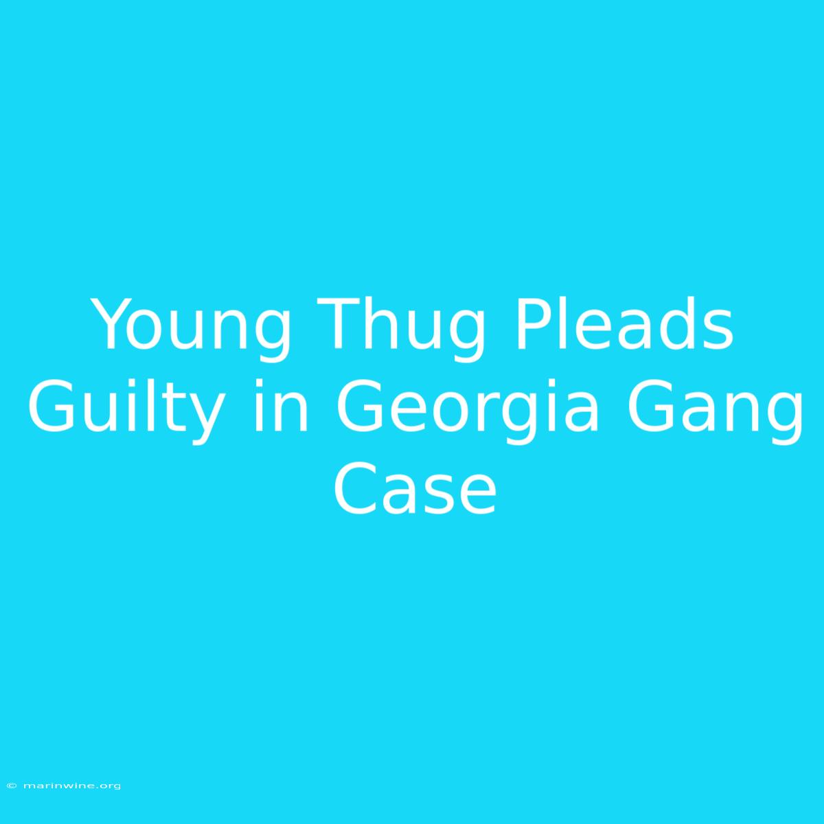 Young Thug Pleads Guilty In Georgia Gang Case