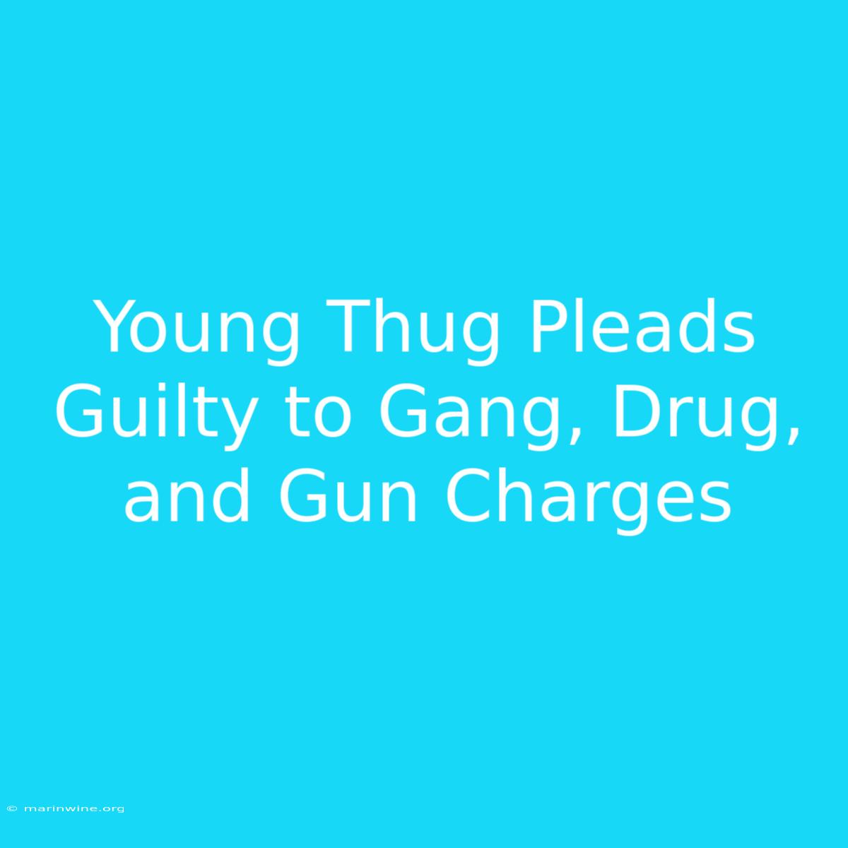 Young Thug Pleads Guilty To Gang, Drug, And Gun Charges