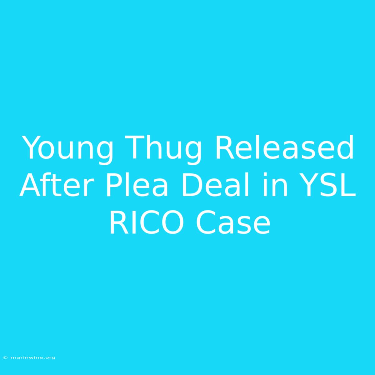 Young Thug Released After Plea Deal In YSL RICO Case 